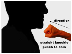 A Punch To The Chin